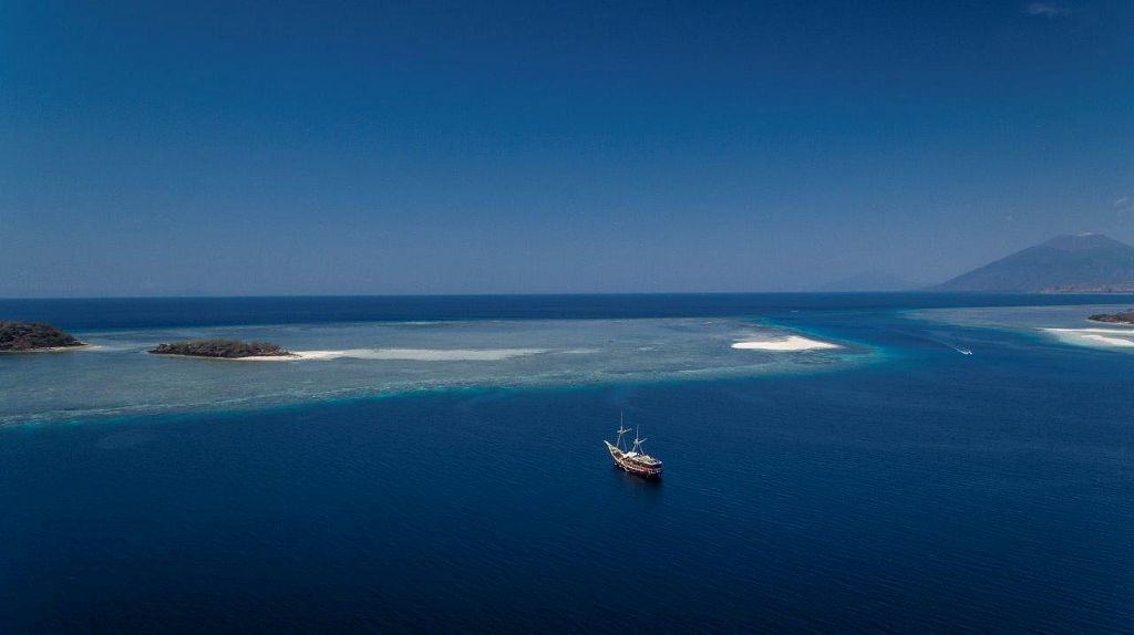 Coral reef during the Komodo and East of Flores diving expedition