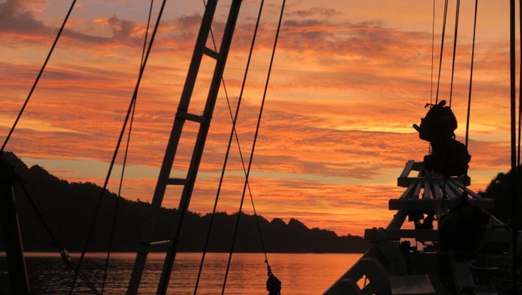 trips on The Seven Seas