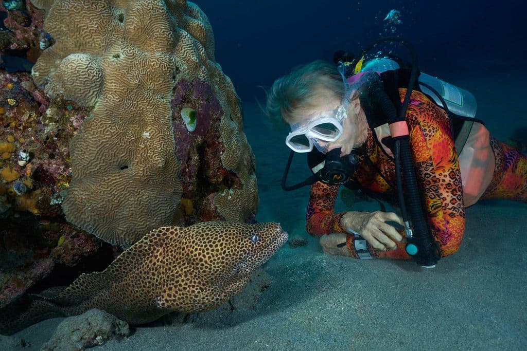 Marine World Conservation