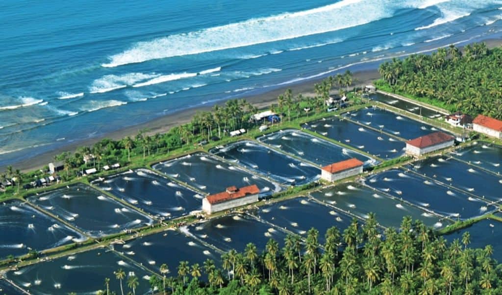 Aquaculture in Indonesia