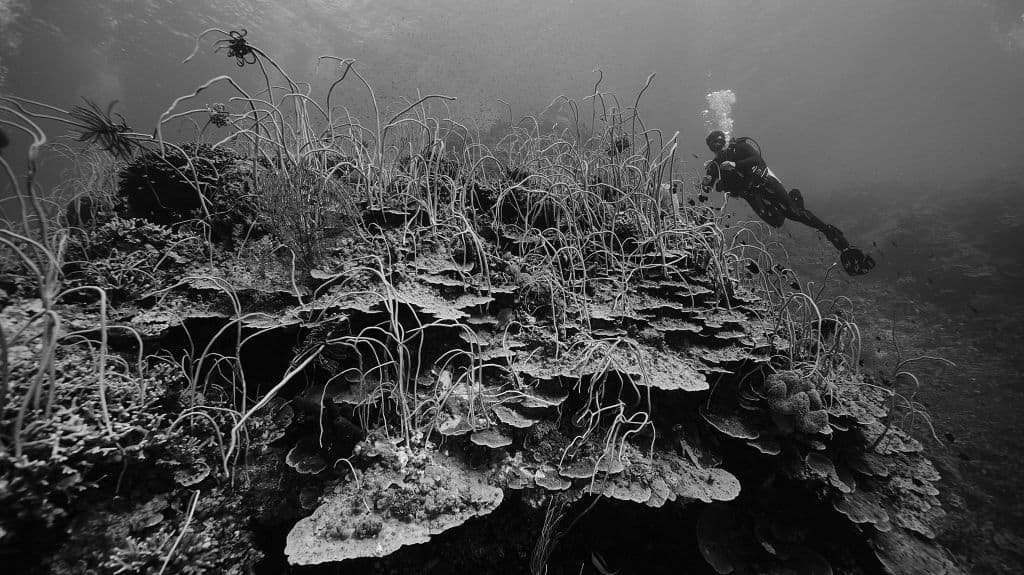 Creating An Amazing Experience