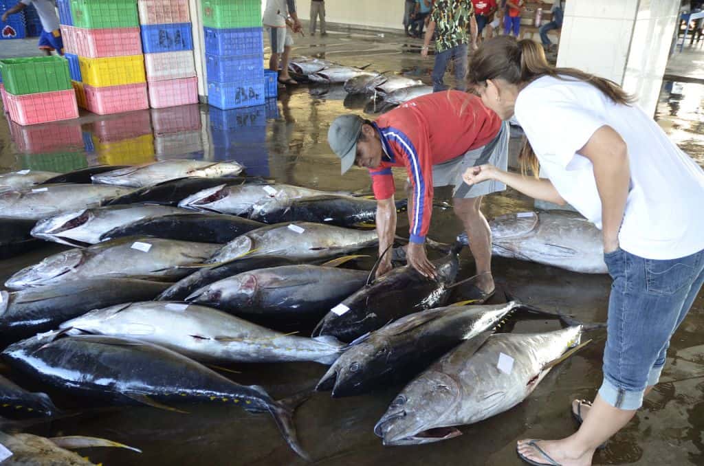 Fishing boats in Indonesia