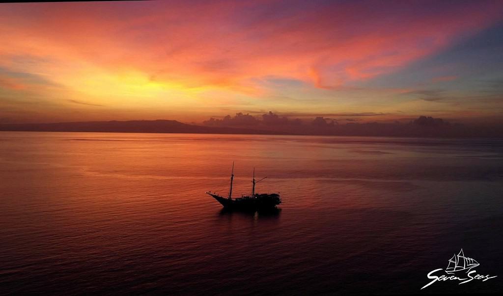 Forgotten Islands Highlights