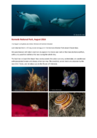2016/08 – Komodo National Park By Fabien Michenet & Sylvain Girardot