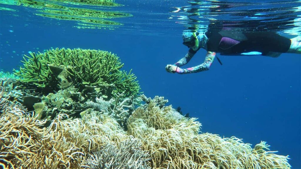 Raja Ampat reef health