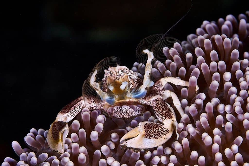 SUMBAWA TO KOMODO CRUISE 6