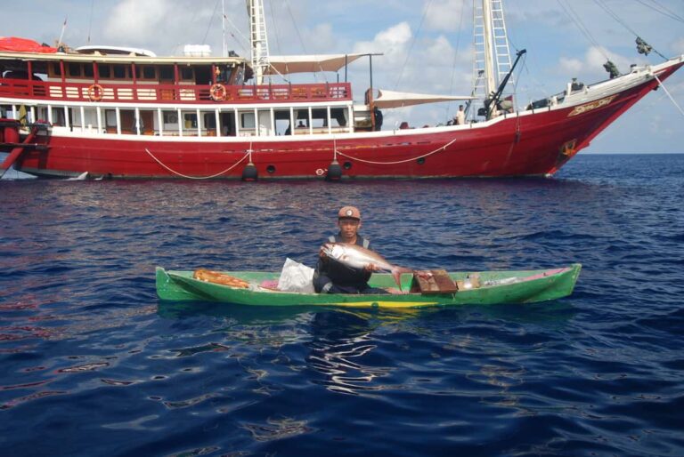 "The Story About Snappers swimming around coral reefs"