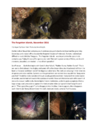 2016/11 – The Forgotten Islands By Karen York