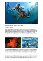 2017/03 – Under the Volcano, Diving in East of Flores By Tony Pigott