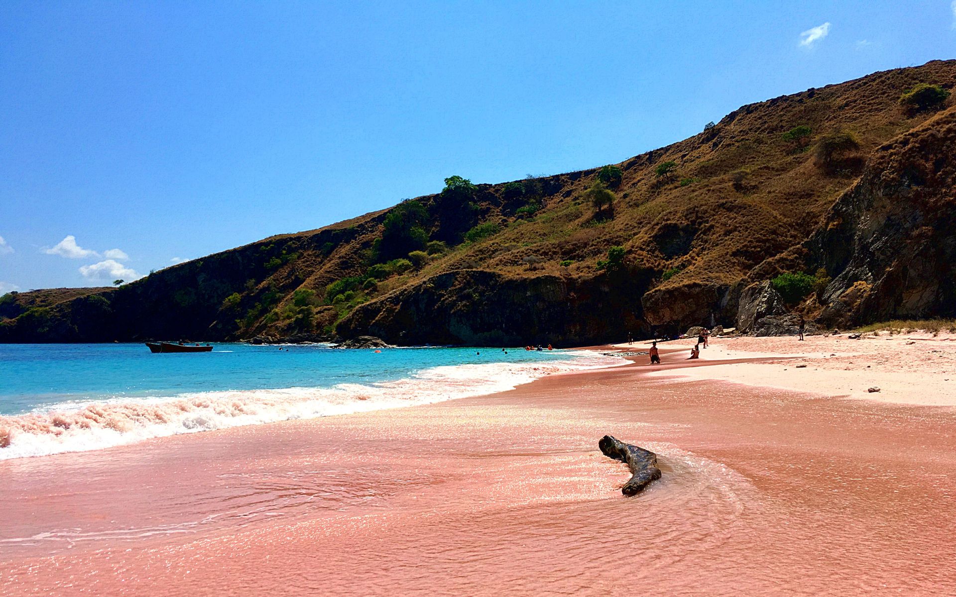pink beach