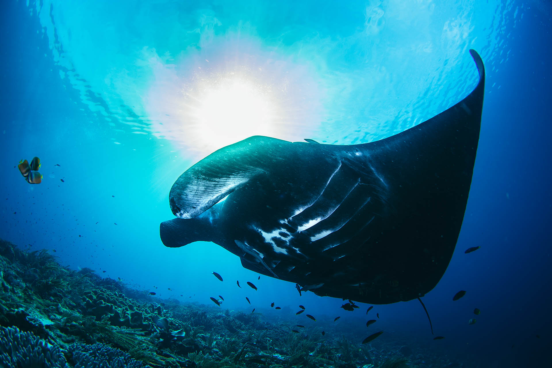 tommy-schultz_com-26