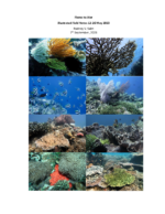 2023/05 – Final Report Flores to Alor