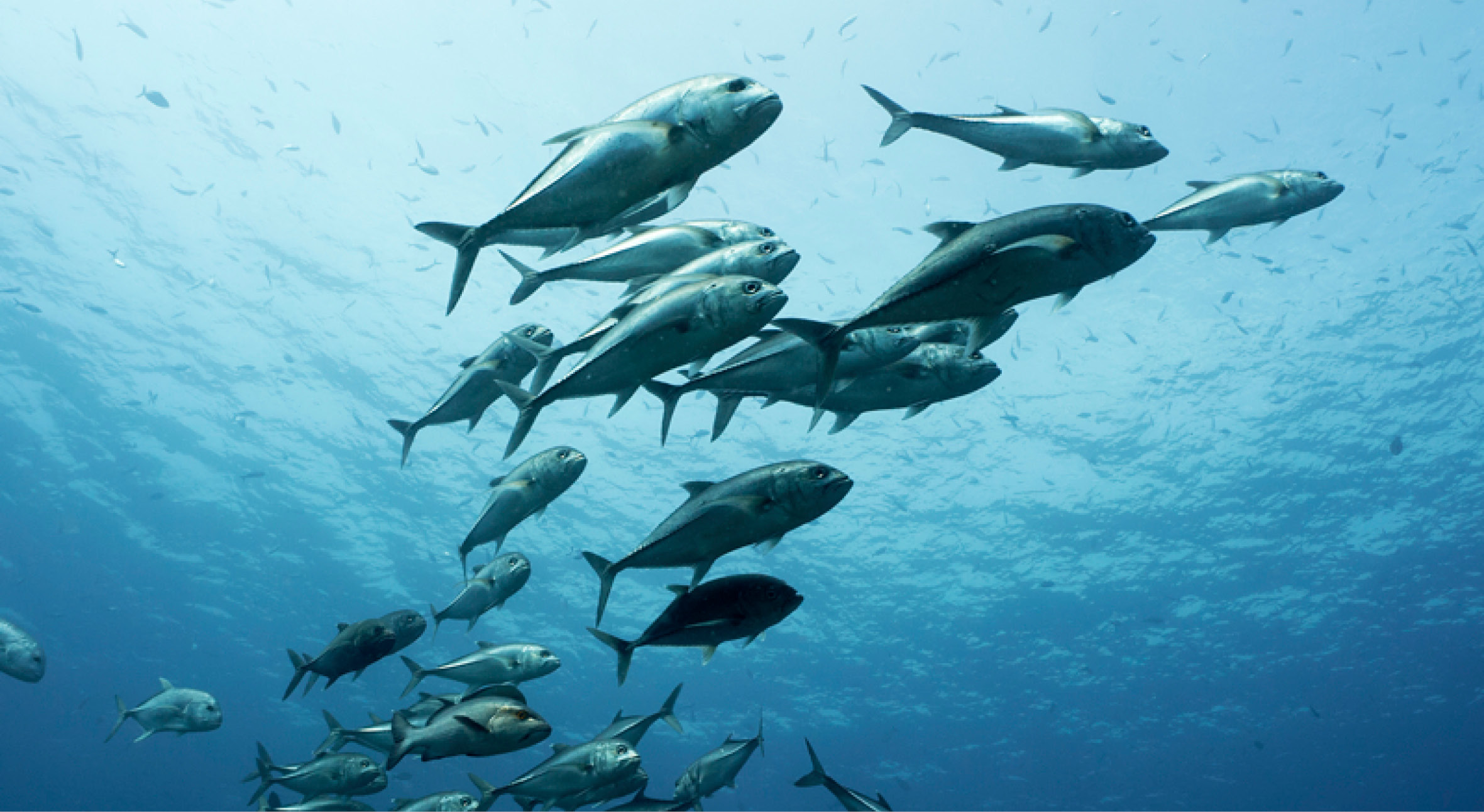 Alors-and-Flores-May2014-069