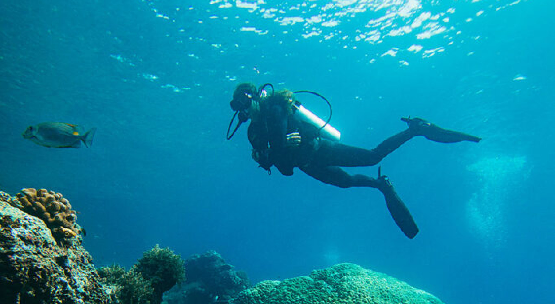 An enormous atoll can be found4