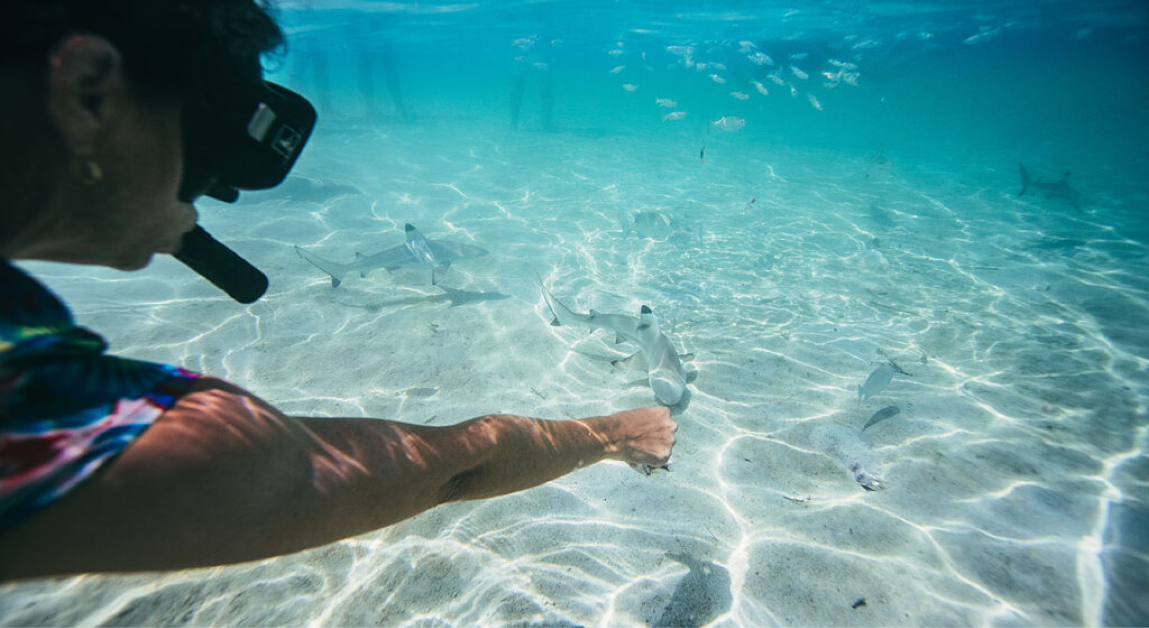 From the unforgettable reefs3