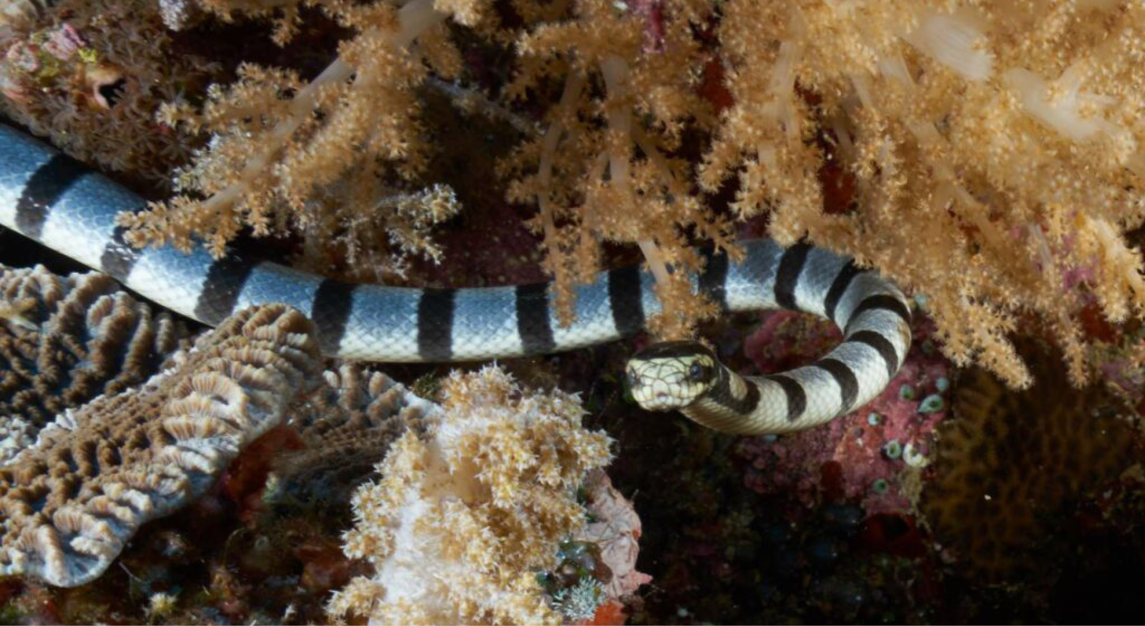 Hayley-Banda-33-1-1024x732