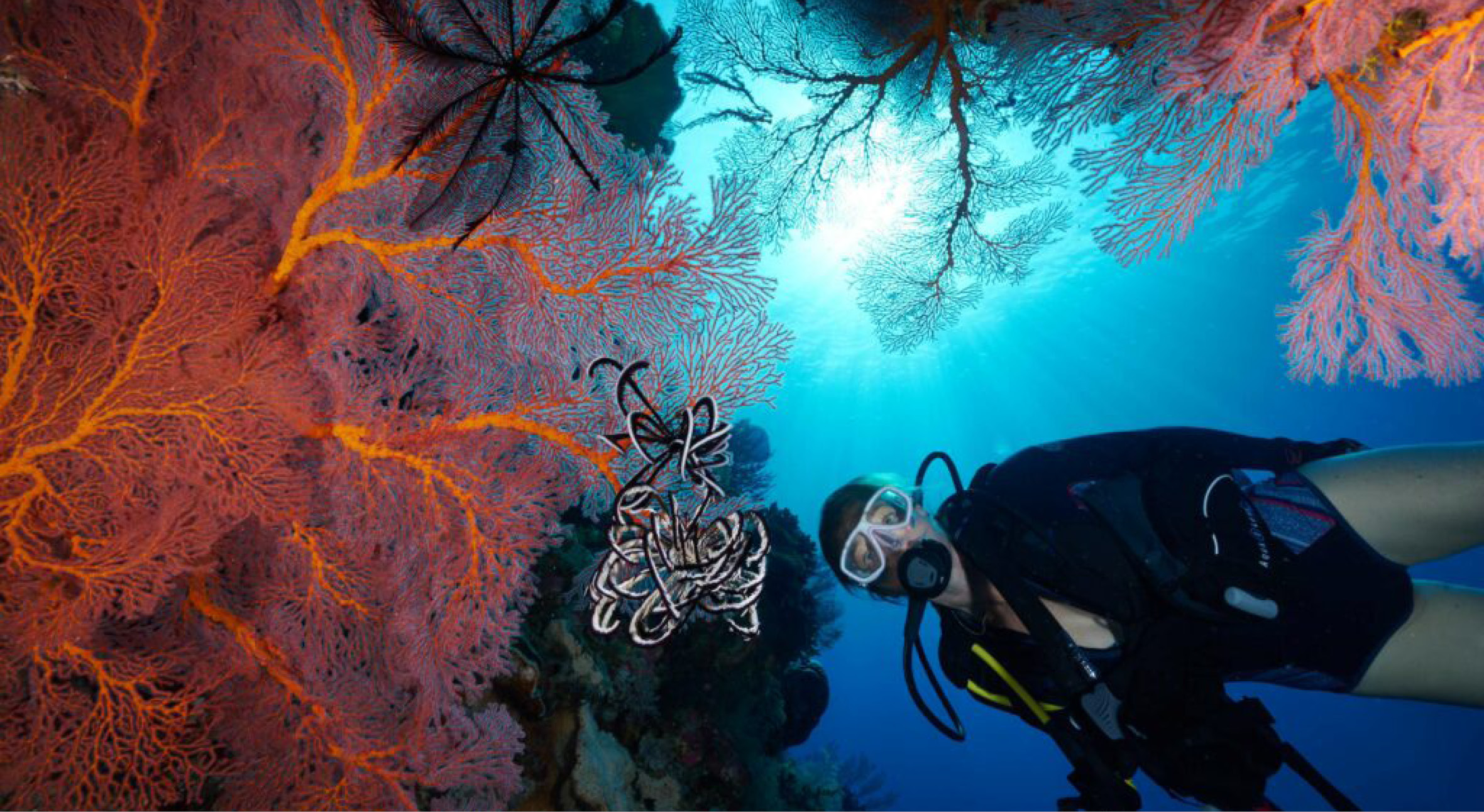 Hayley-Banda-45-1024x683