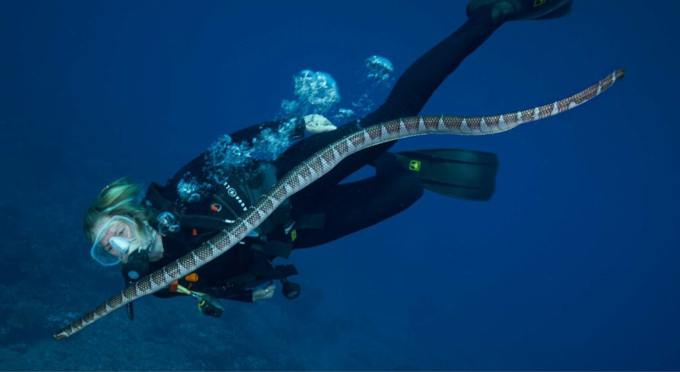 Hayley-Banda-50-1024x731