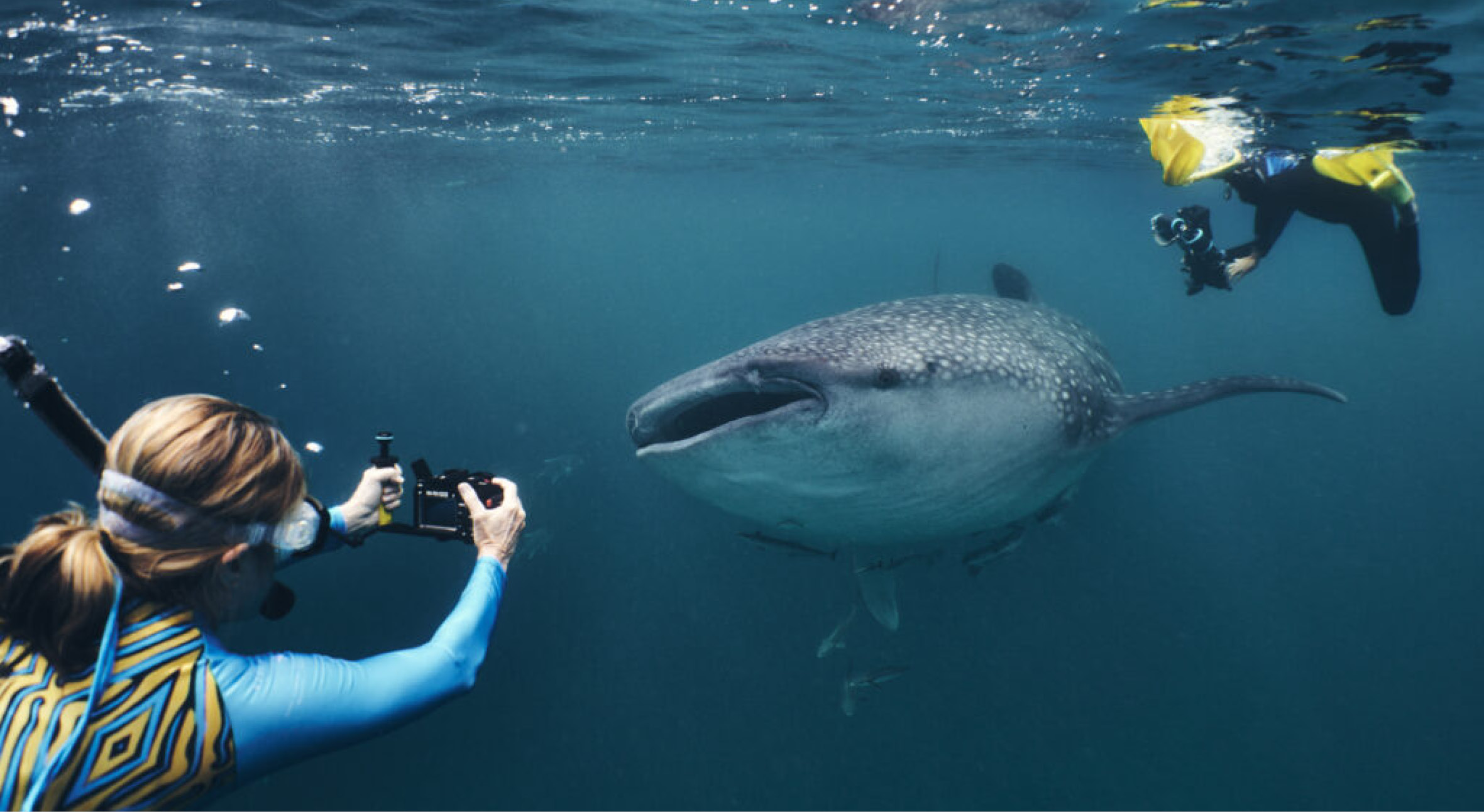 Our newest cruises have ventured4