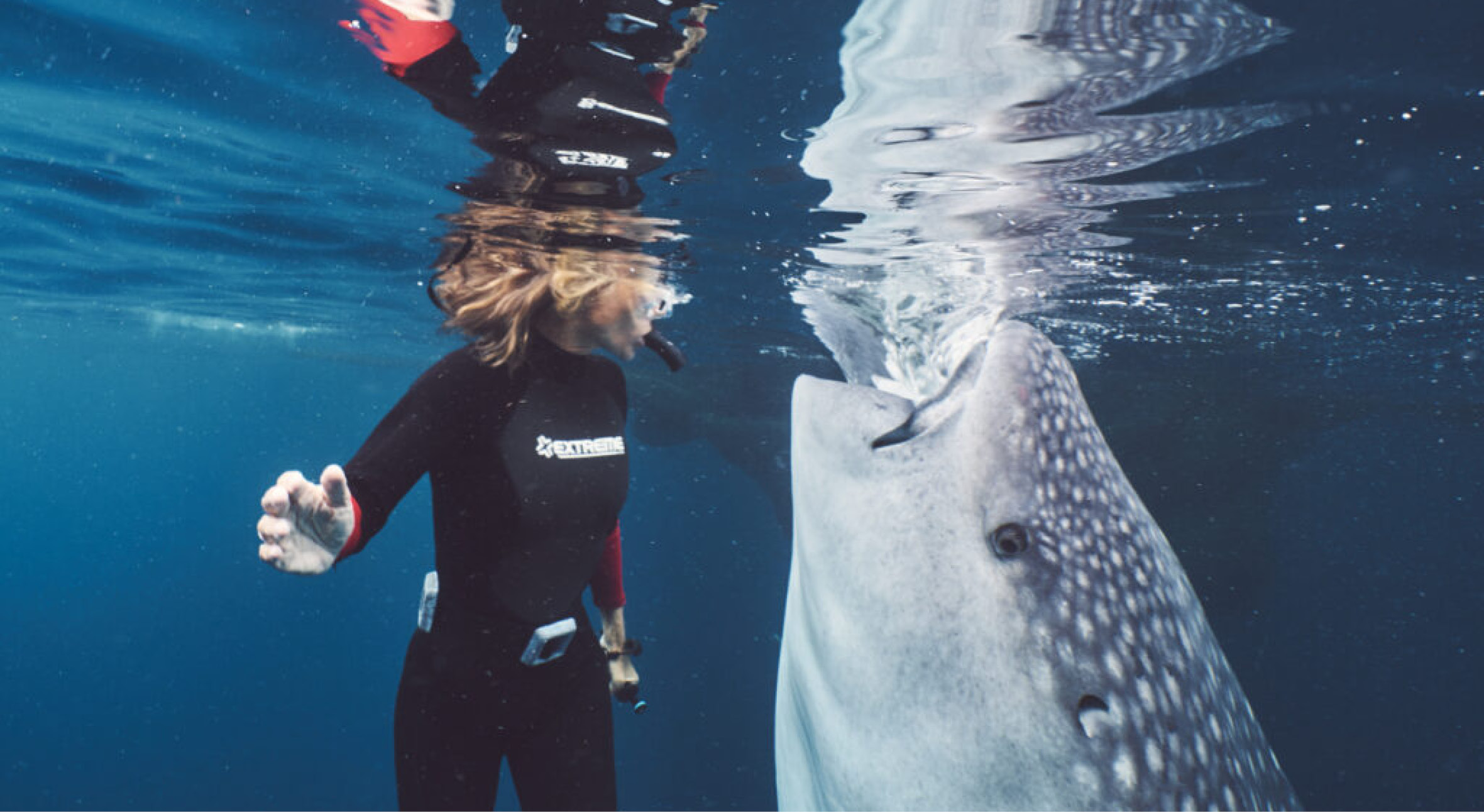 Our newest cruises have ventured5