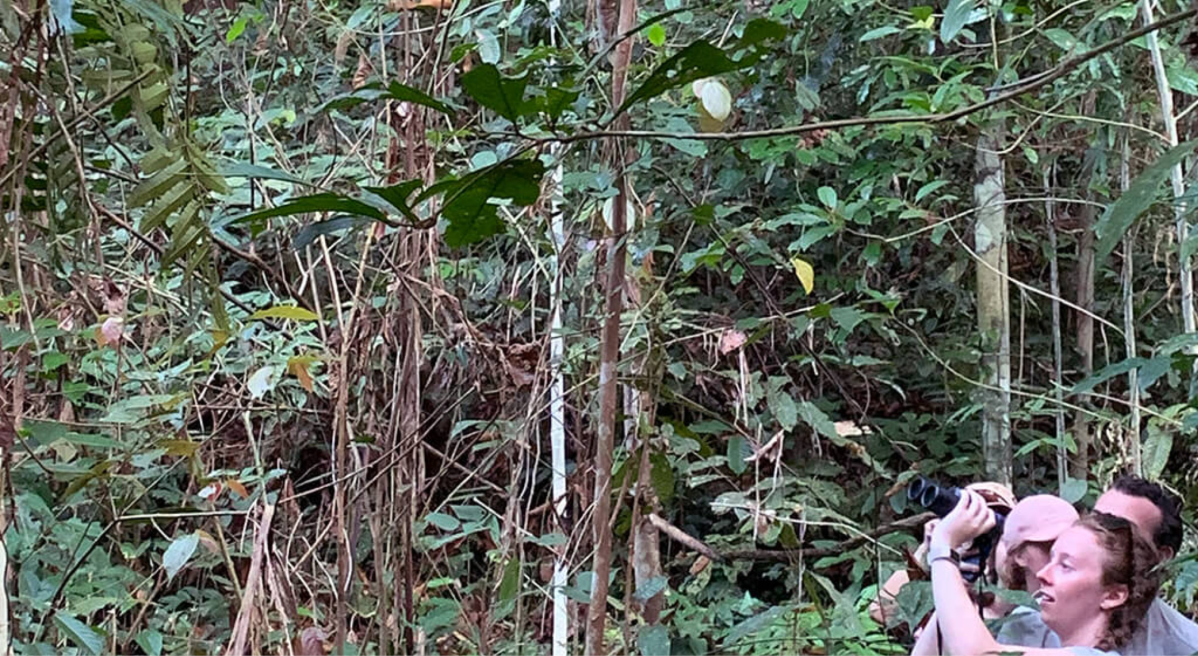 Seven Seas guests can choose2