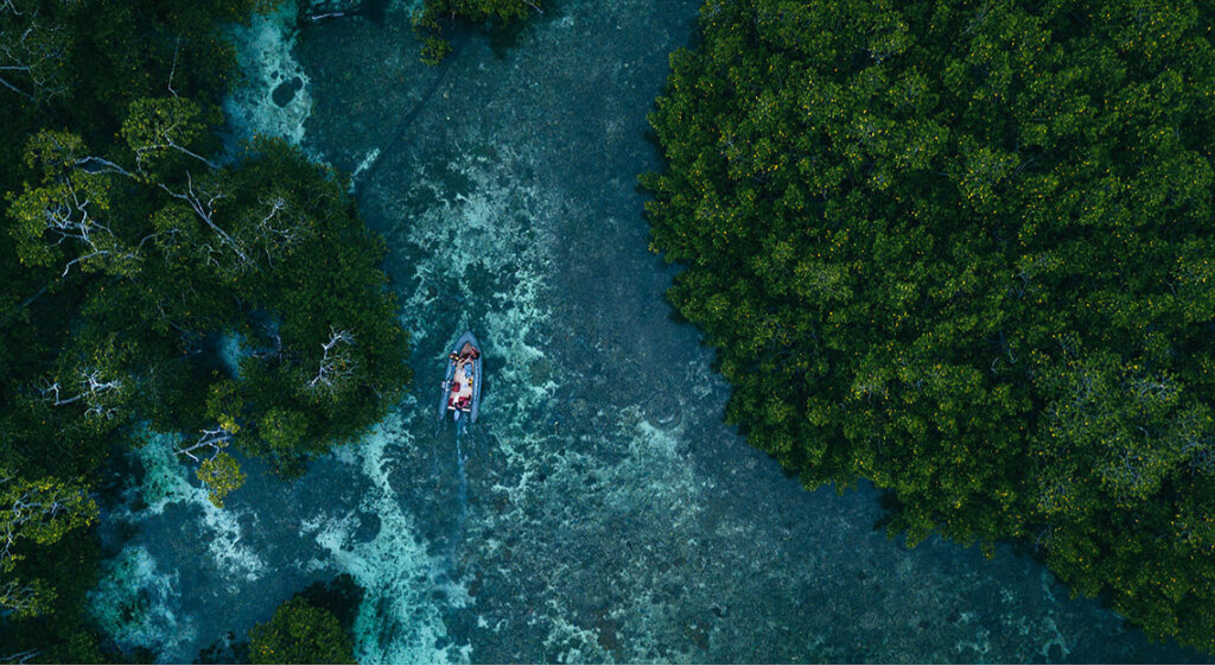 Seven Seas guests can choose4