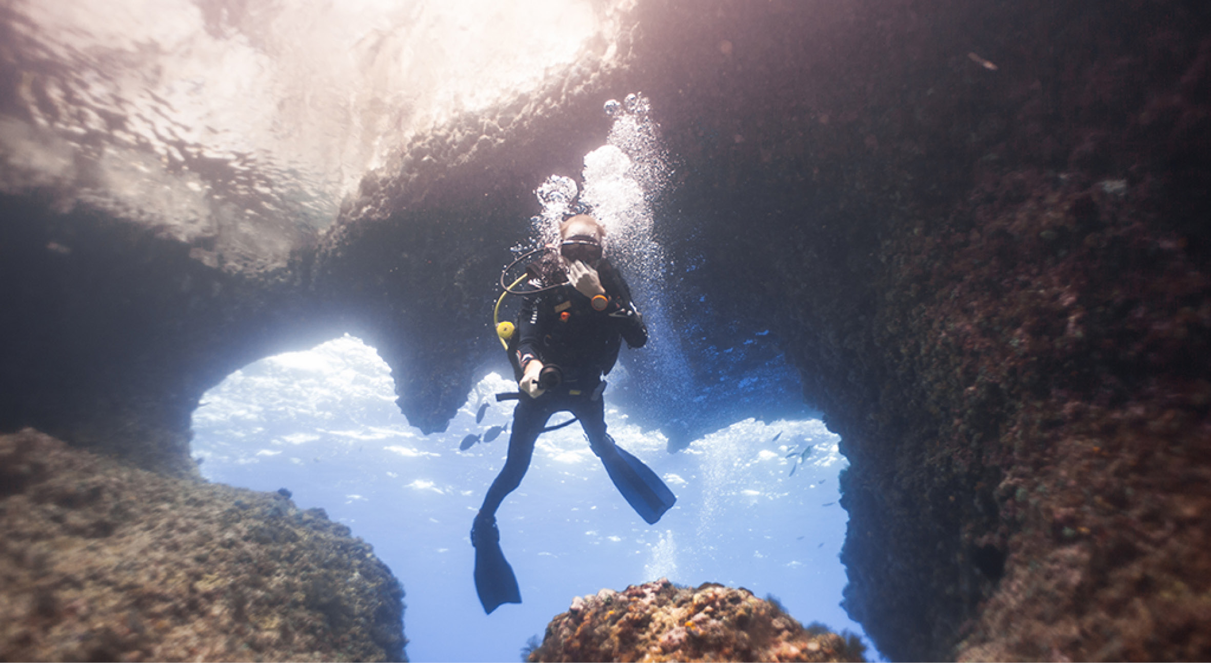 Since 2012 we are offering2