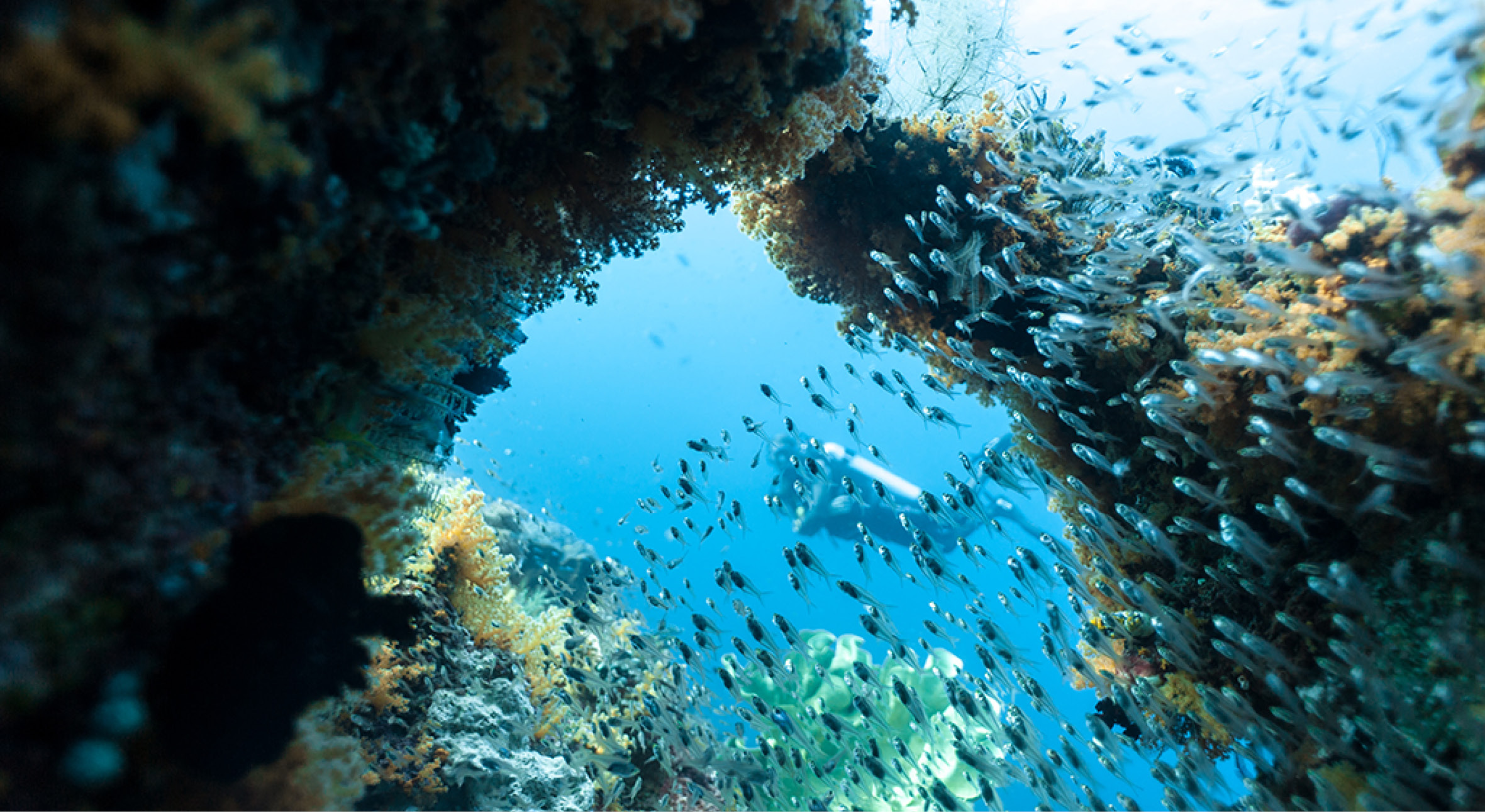 Since 2012 we are offering3