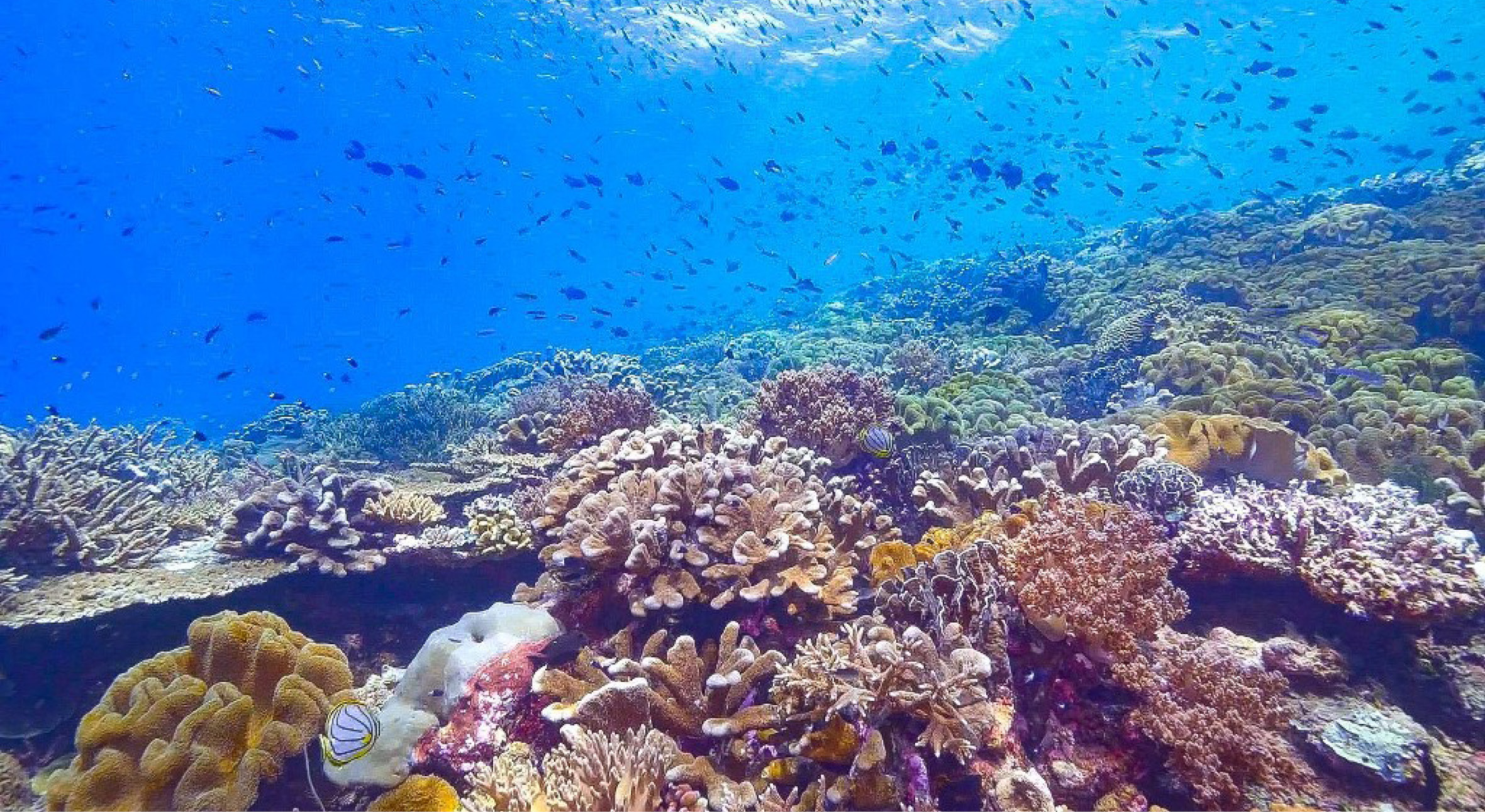 The Forgotten Islands offer2