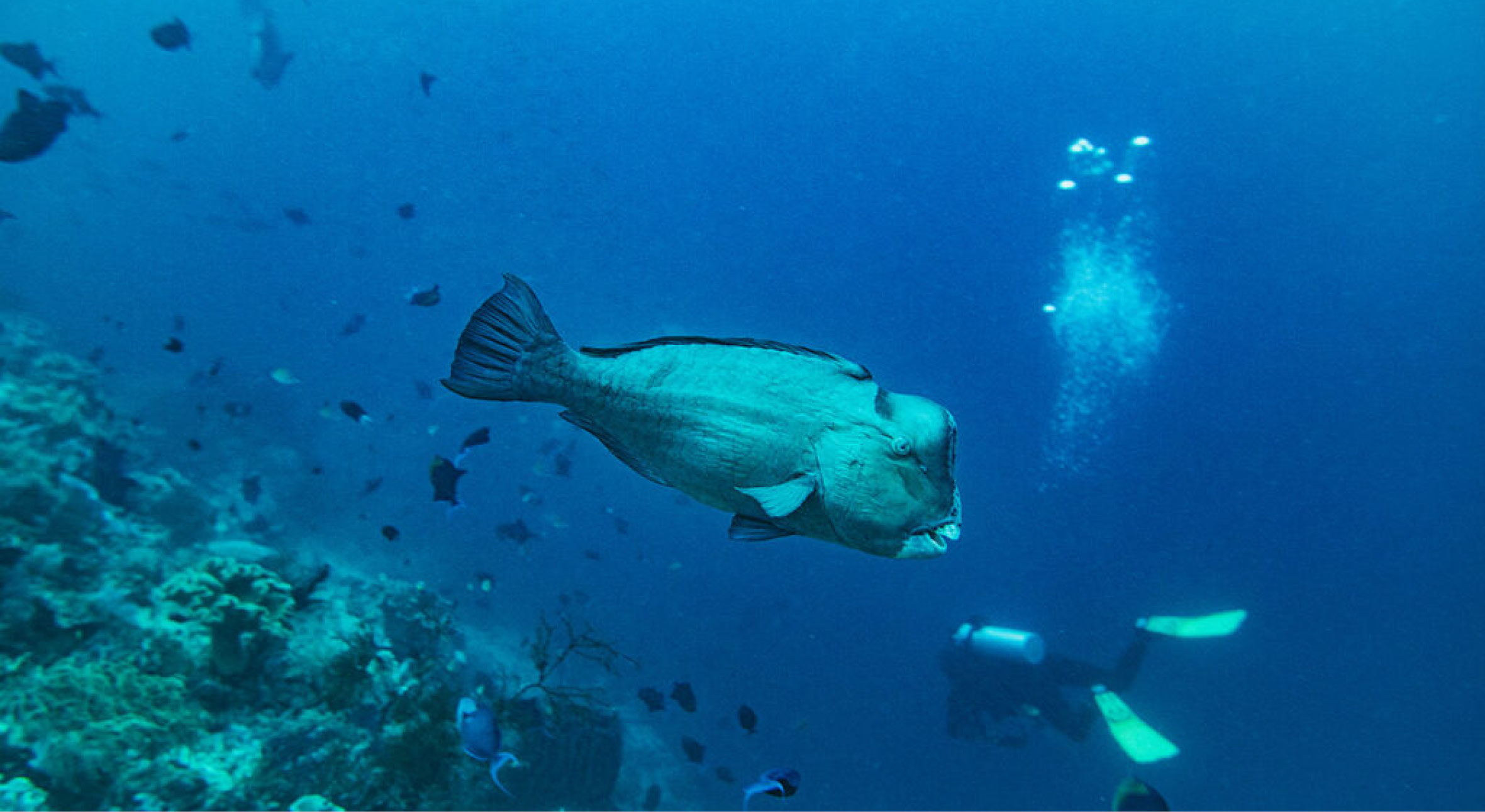 The Forgotten Islands offer4