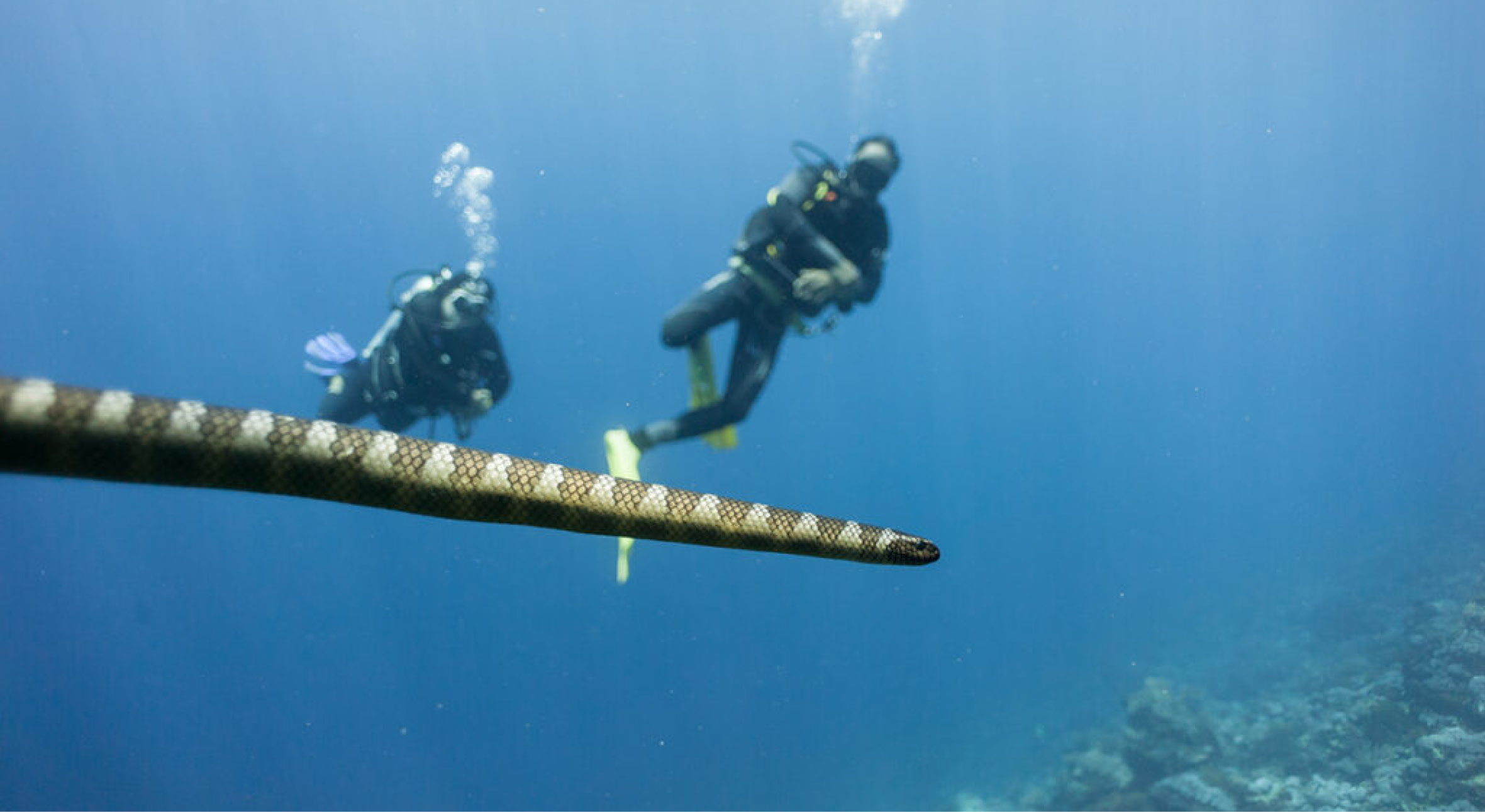 The Inner Arc islands are volcanic