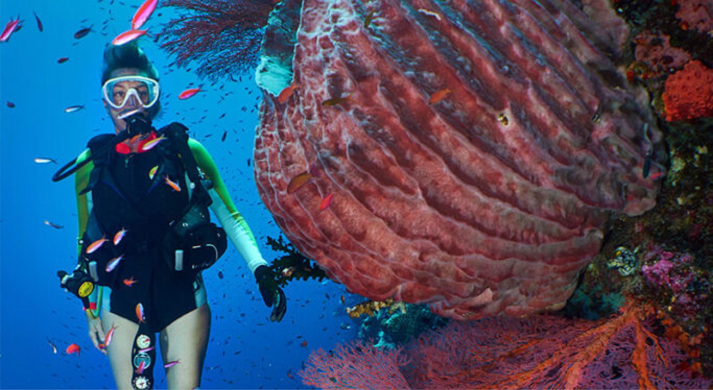 The Inner Arc islands are volcanic3