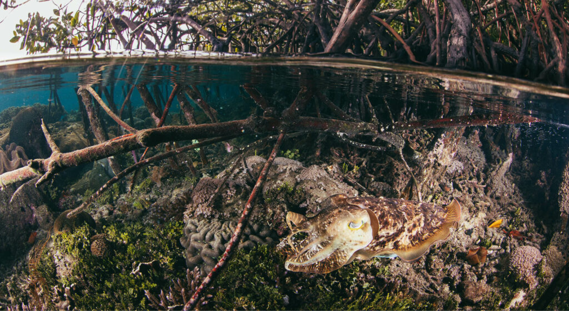 tommy-schultz_com-13-1024x683