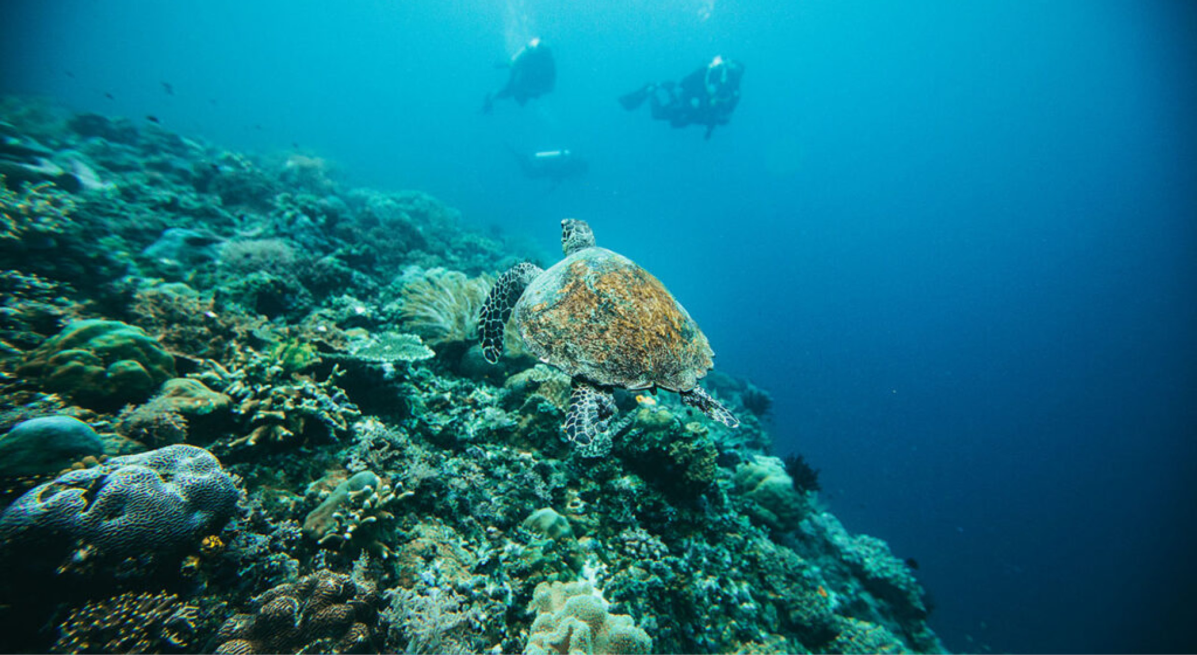 tommy-schultz_com-258-1024x682