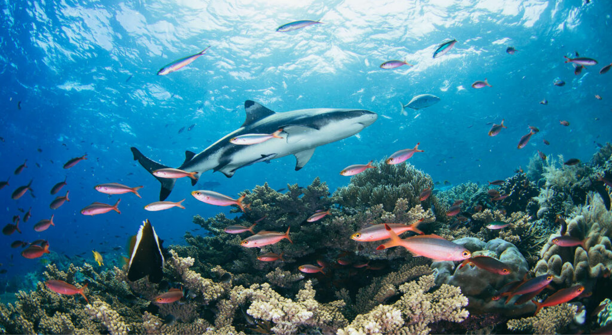 tommy-schultz_com-3-1024x683