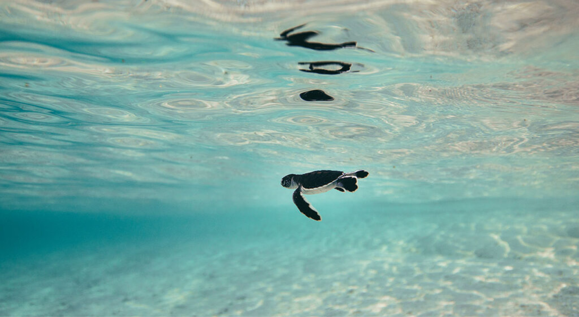 tommy-schultz_com-318-1024x682