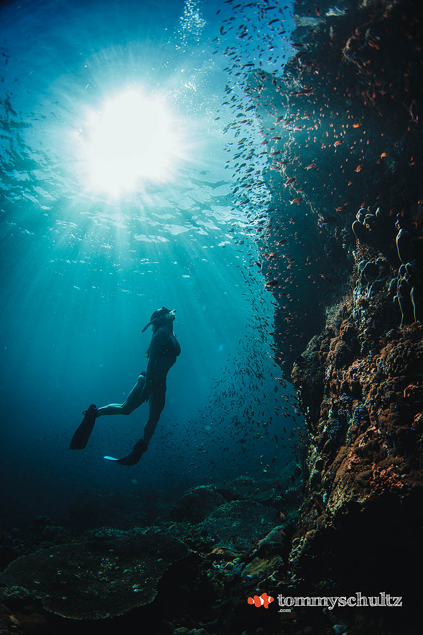 tommy-schultz_com-12