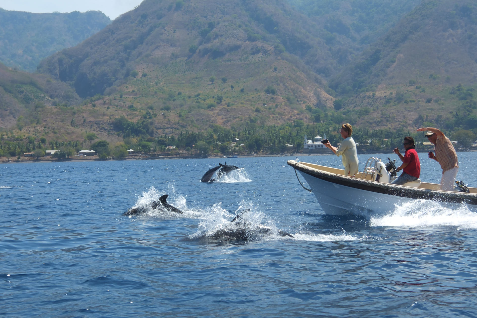 tommy-schultz_com-824