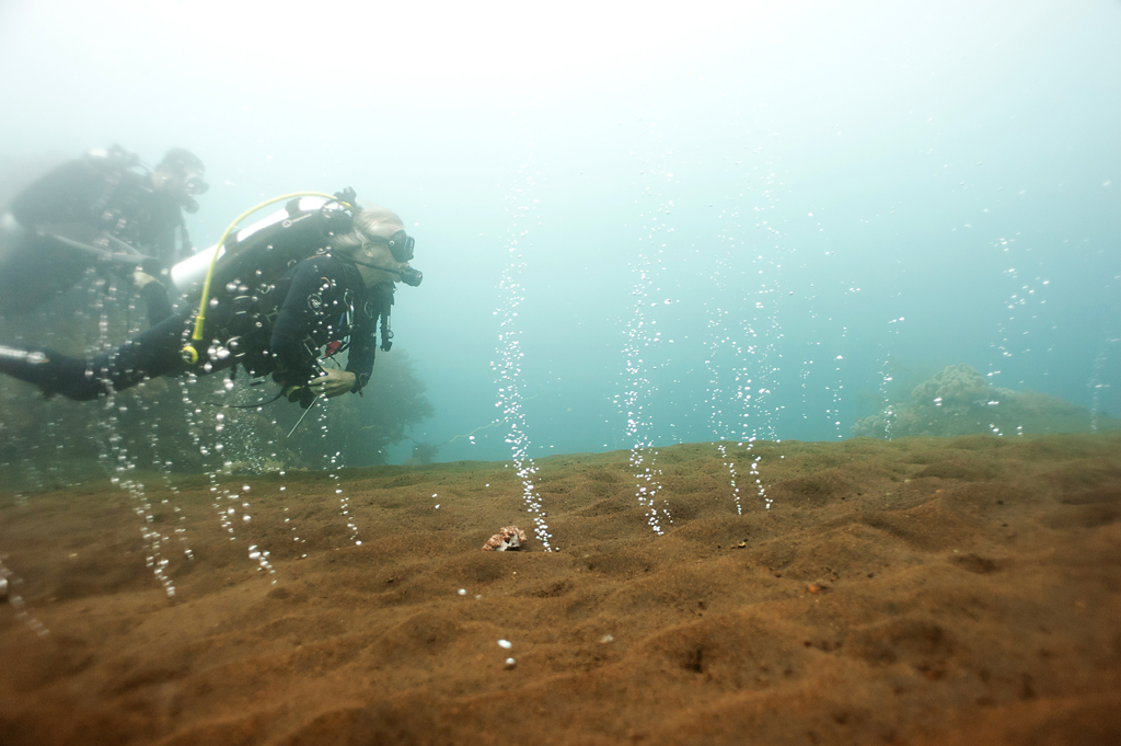 Komodo - May 2019 - 58