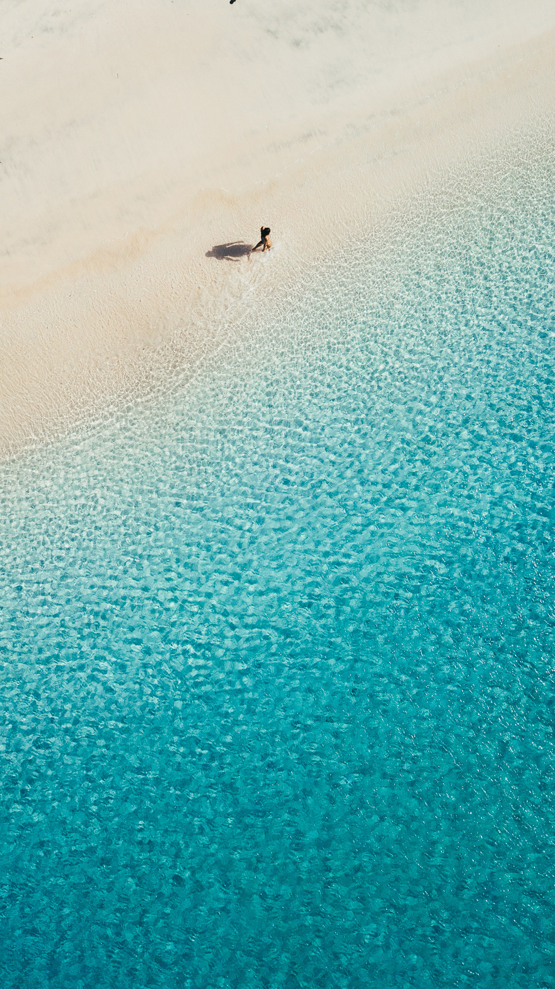 Labuan Bajo Maumere diving trip