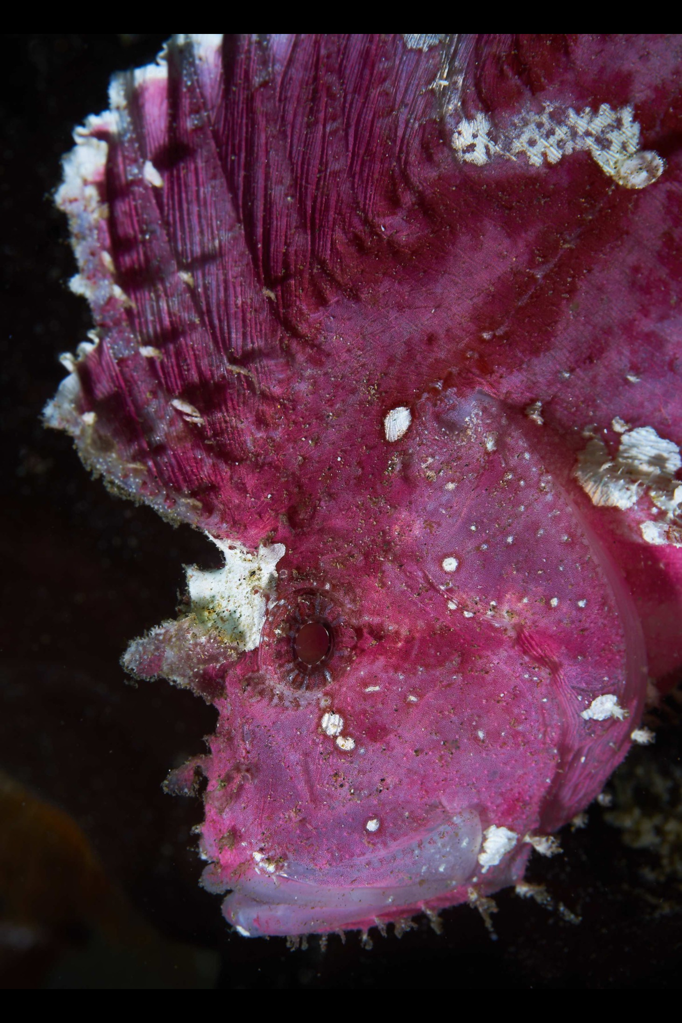 Hayley_Banda_18_resized