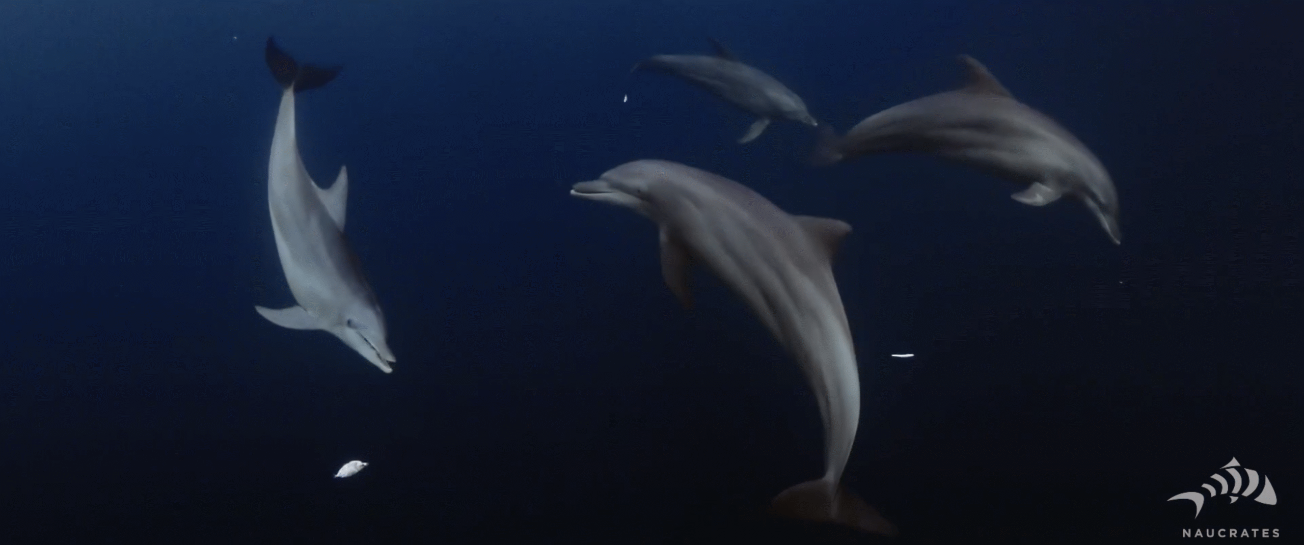 Screenshot 2025-10-15 at 22.15.45