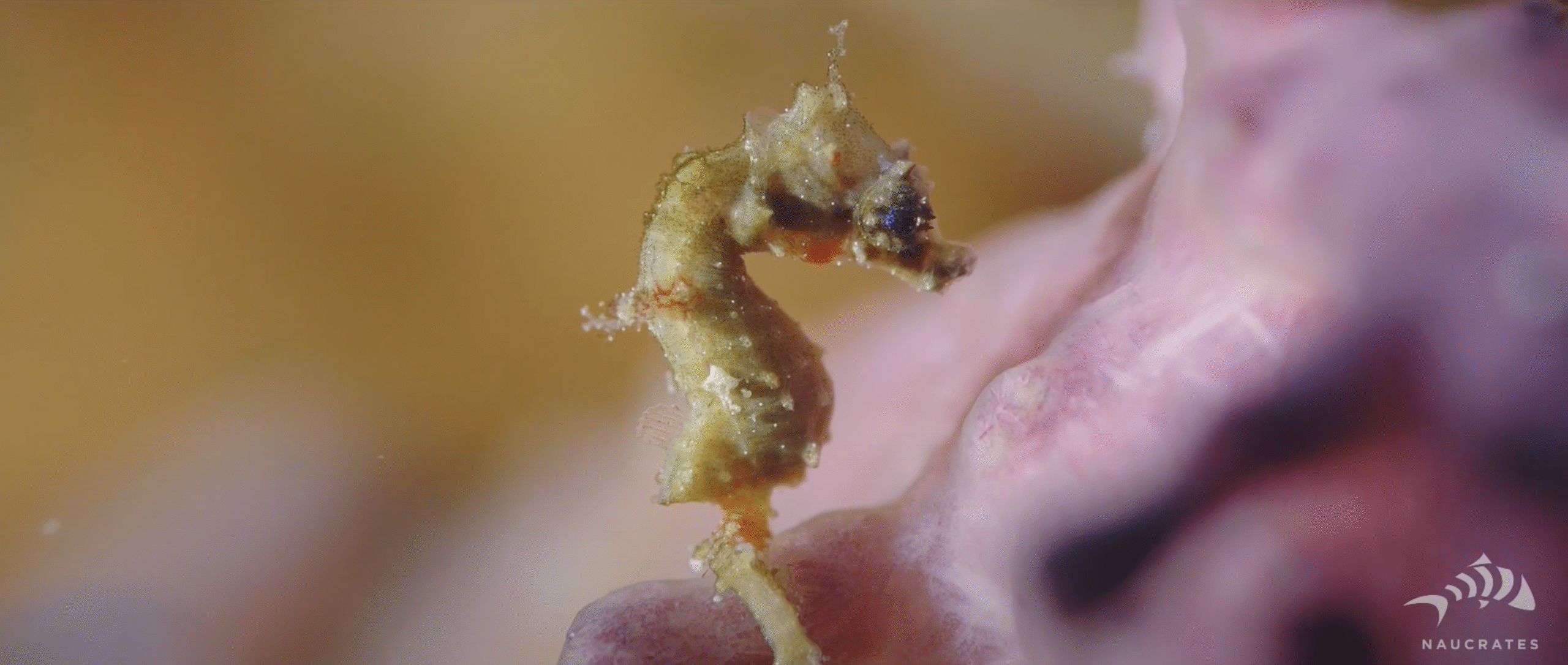 Screenshot 2025-10-15 at 22.16.43