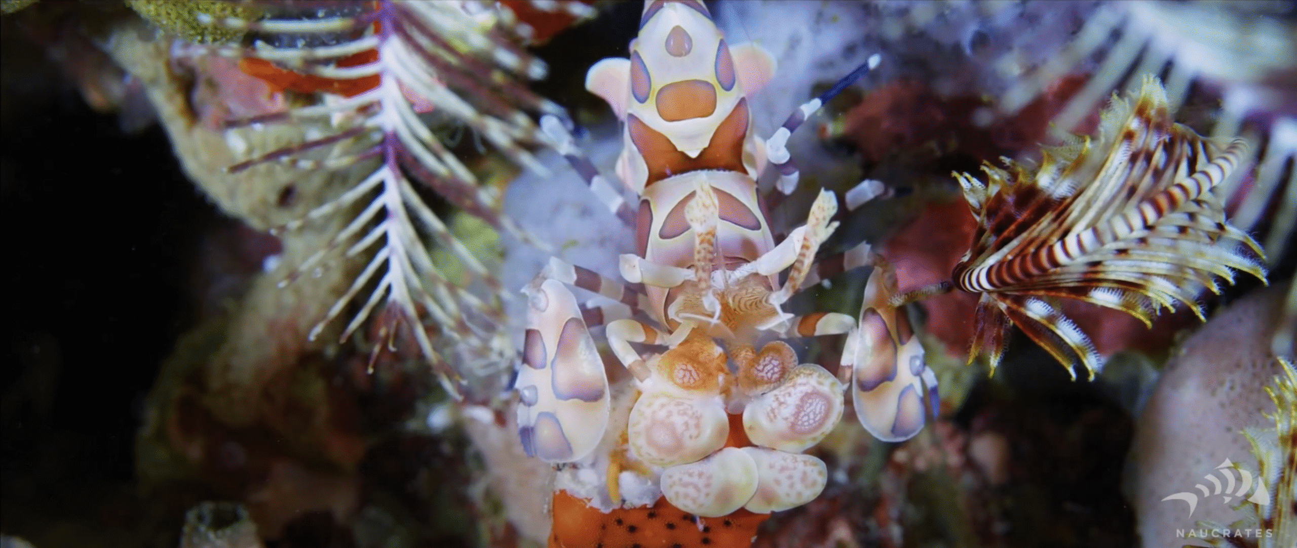 Screenshot 2025-10-15 at 22.16.55