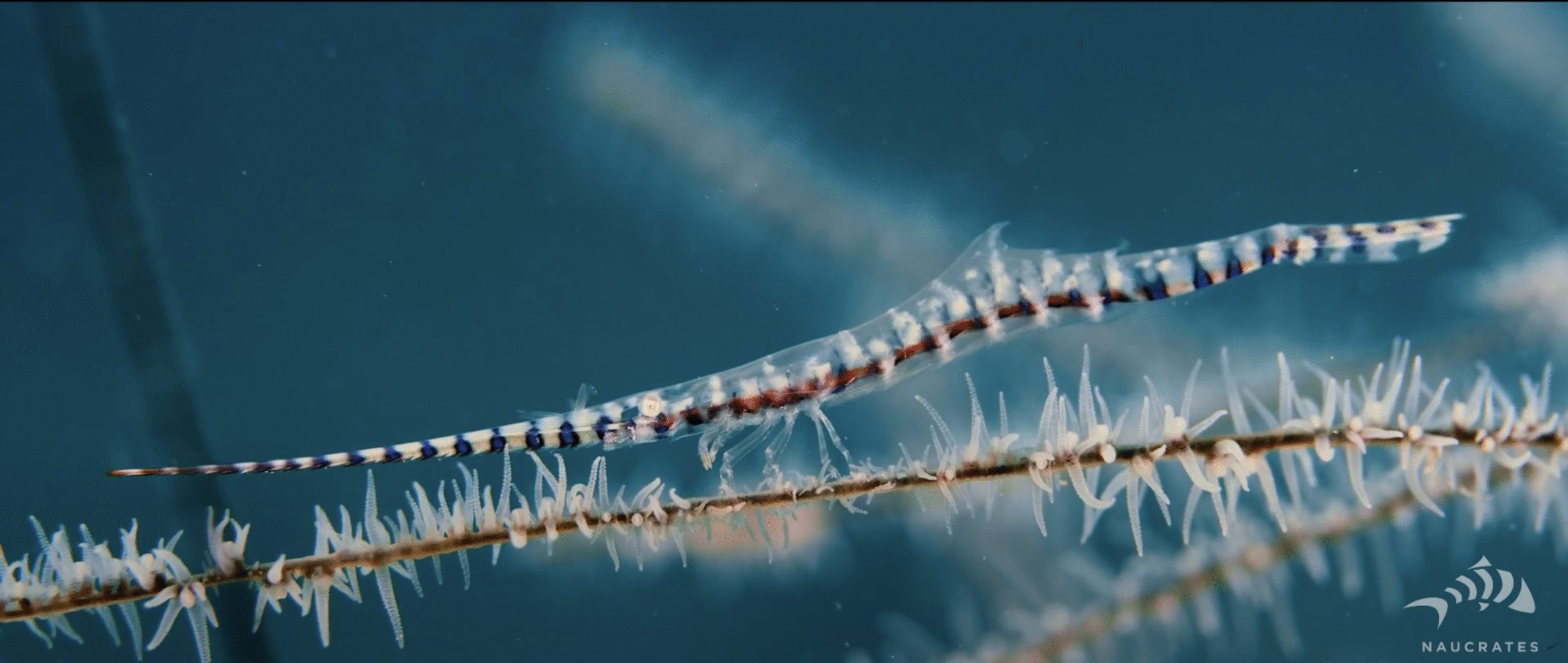 Screenshot 2025-10-15 at 22.17.03