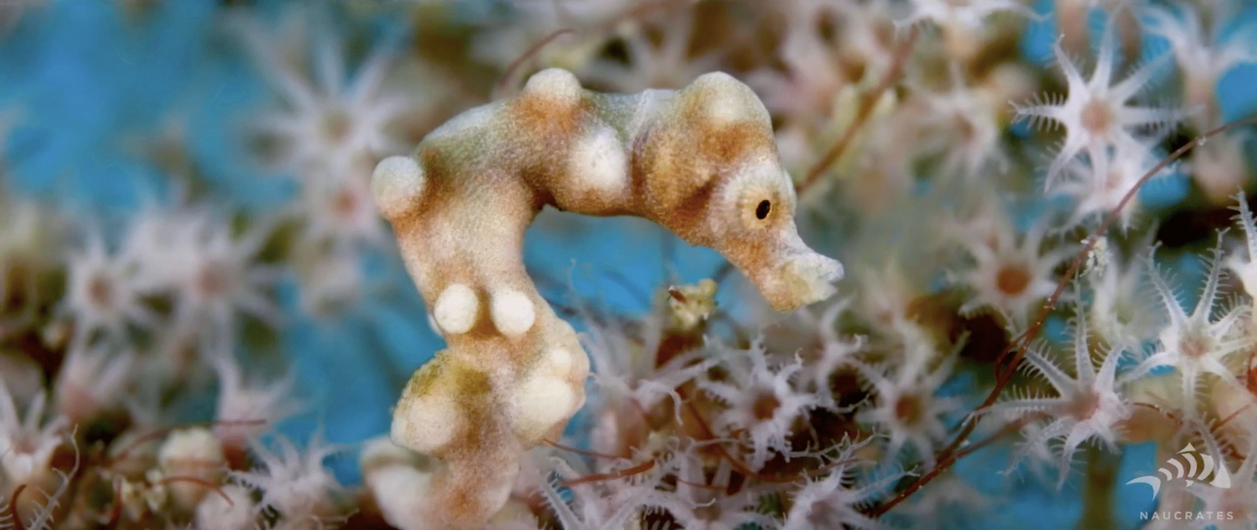 Screenshot 2025-10-15 at 22.17.10