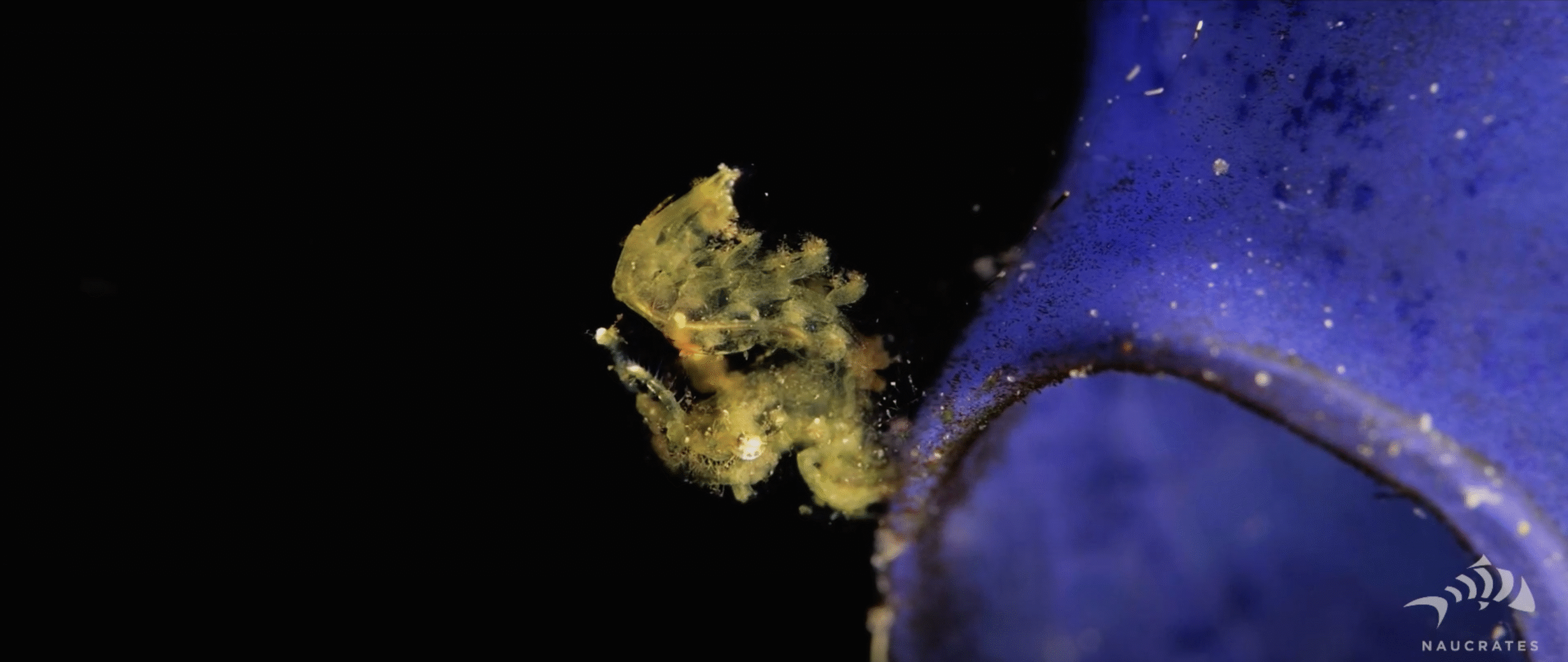 Screenshot 2025-10-15 at 22.17.29