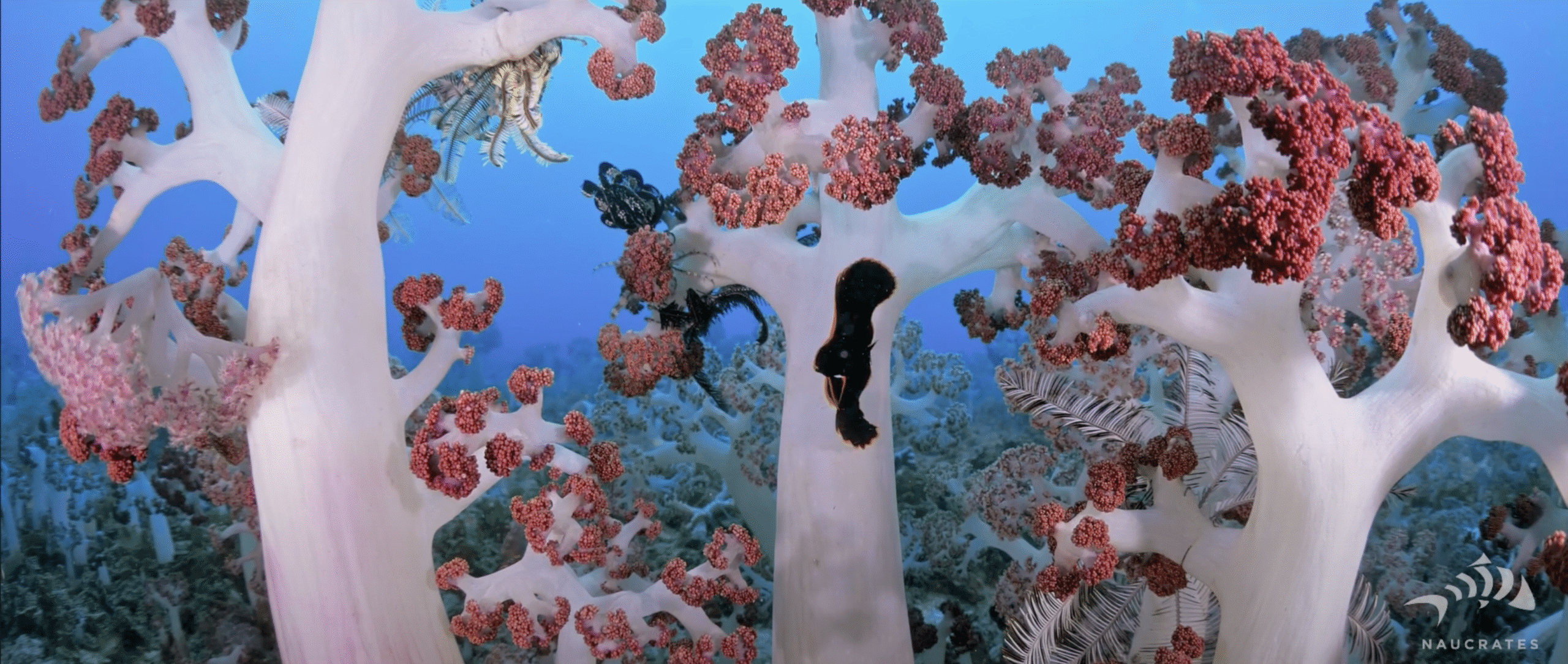 Screenshot 2025-10-15 at 22.18.02