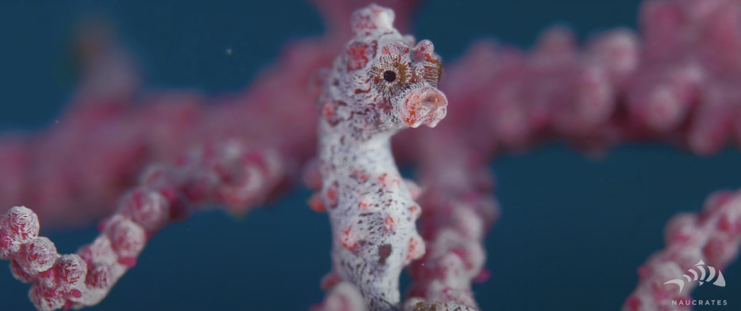 Screenshot 2025-10-15 at 22.18.27