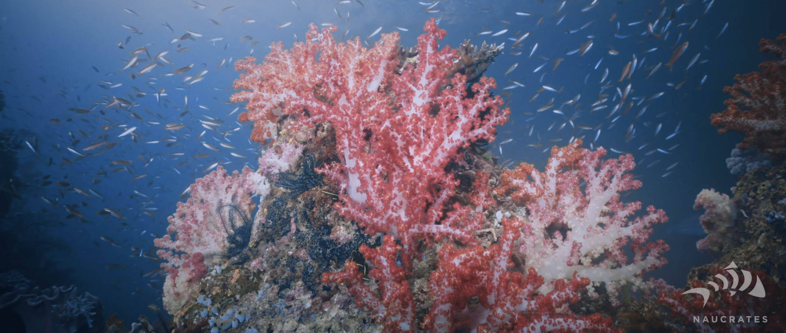 Screenshot 2025-10-15 at 22.20.25